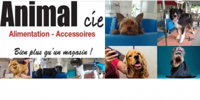 Animal CIE : Tout ce que vos animaux ont besoin