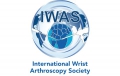 IWAS - International Wrist Arthroscopy Society